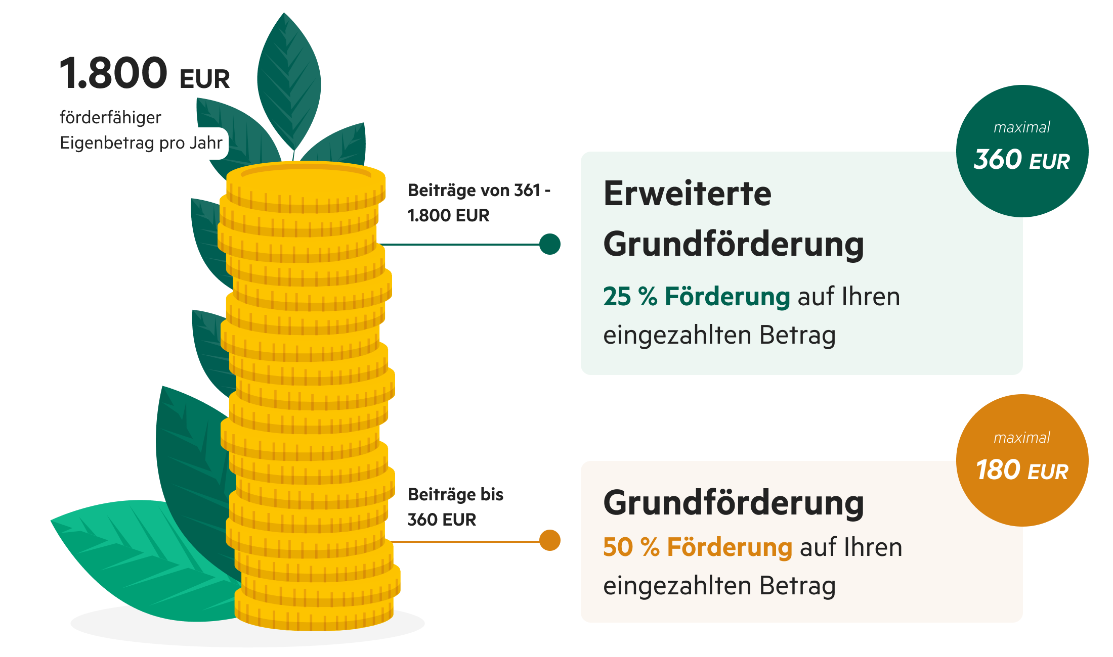 Bis zu 540 Euro Grundförderung möglich