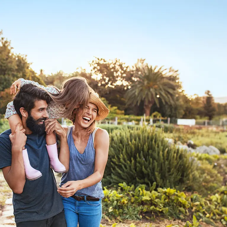 IST-1029785948_preview (1)