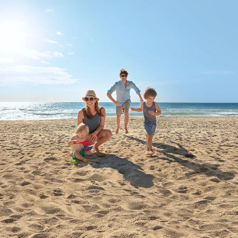 IST-811322656_preview (1)